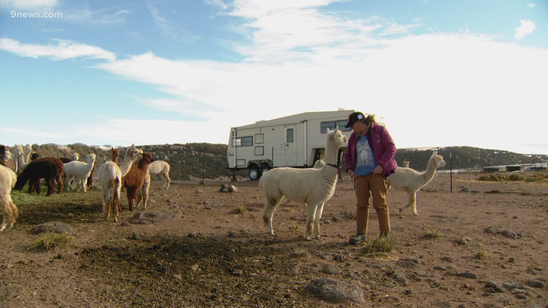 Penny Logue co-owns the ranch with Bonnie Nelson in Custer County, where nearly 70% of the population voted for Donald Trump twice.