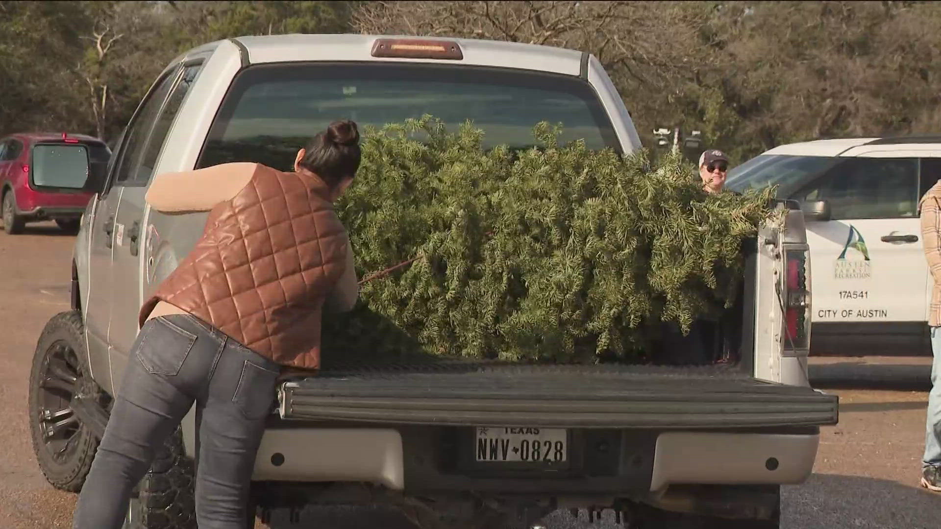 Here is how to recycle your tree for free in Central Texas | kcentv.com