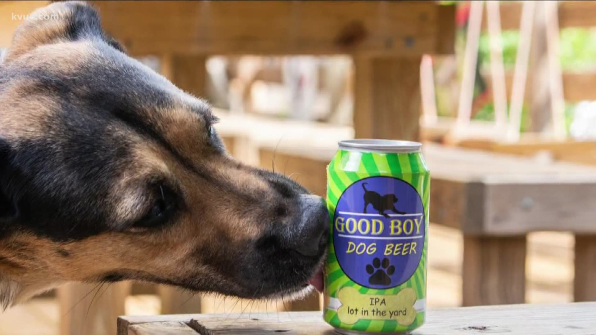 You can now ick back and have a beer with your dog thanks to a couple from Houston.