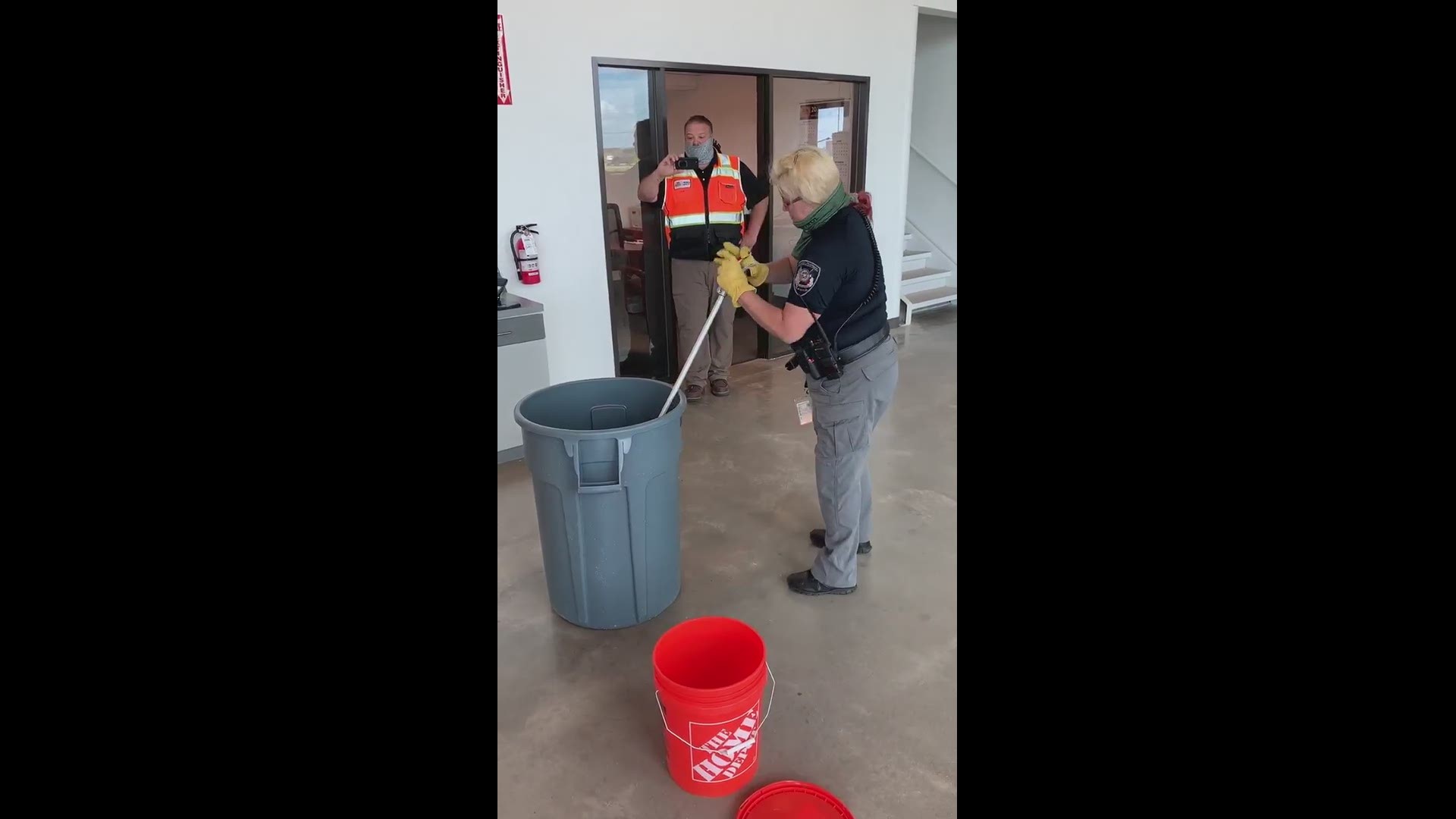 The Manor Police Department said the rattlesnake is a western diamond back.