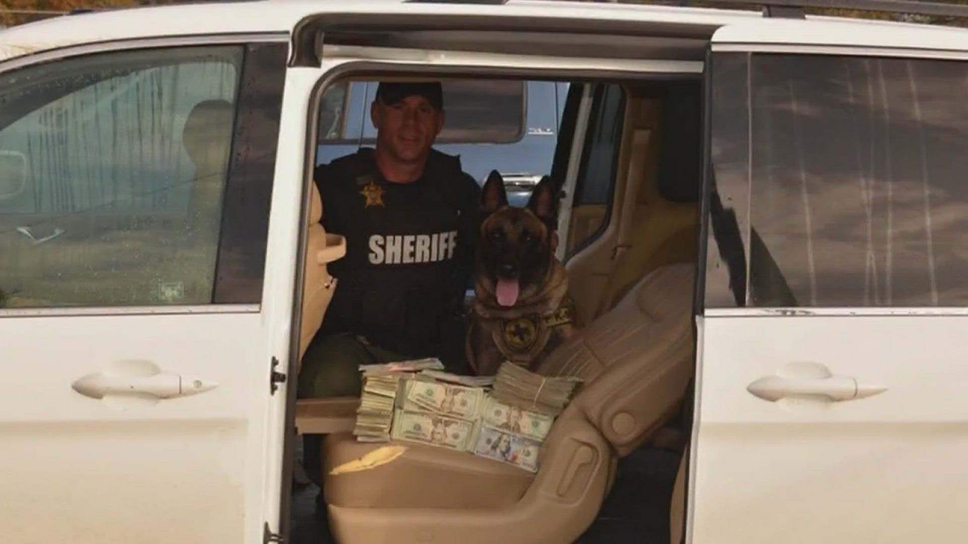 If you live in Central Texas you've likely heard of Lobos the drug dog.