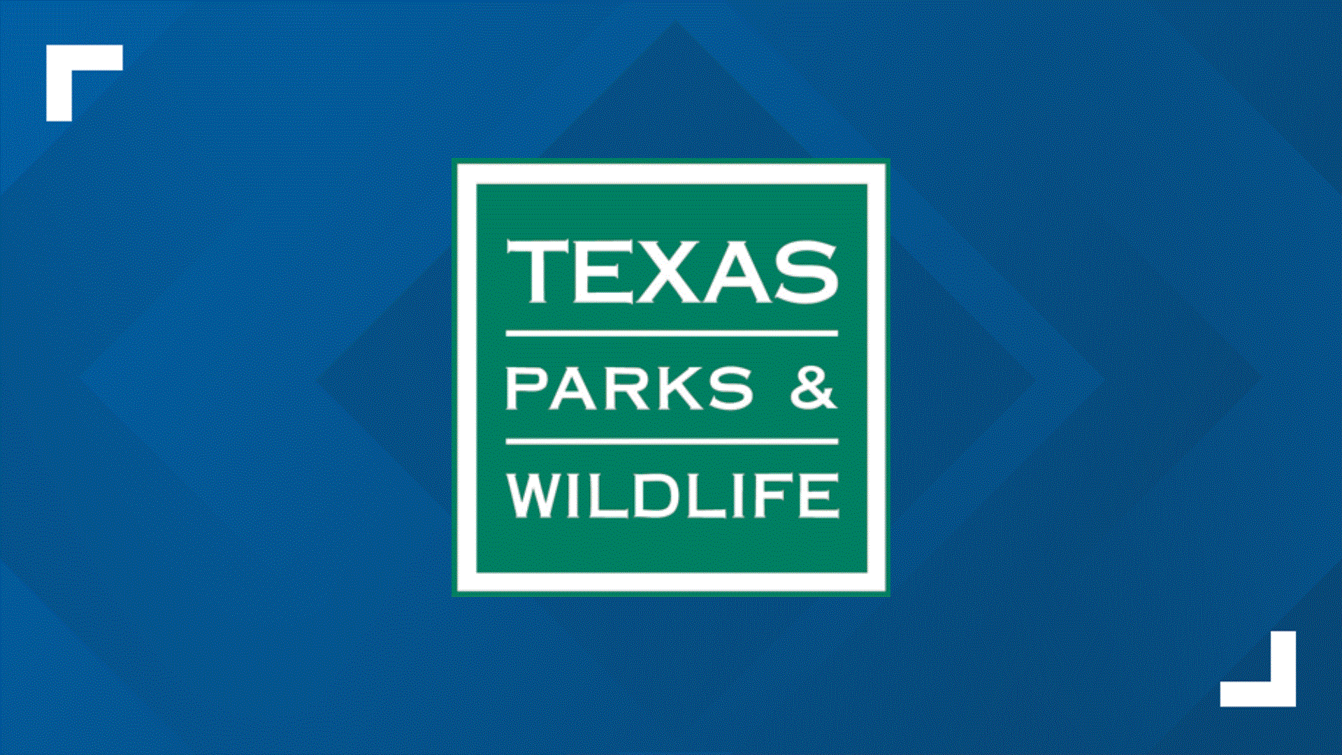 Hunting, fishing licenses for new Texas season on sale Aug. 16