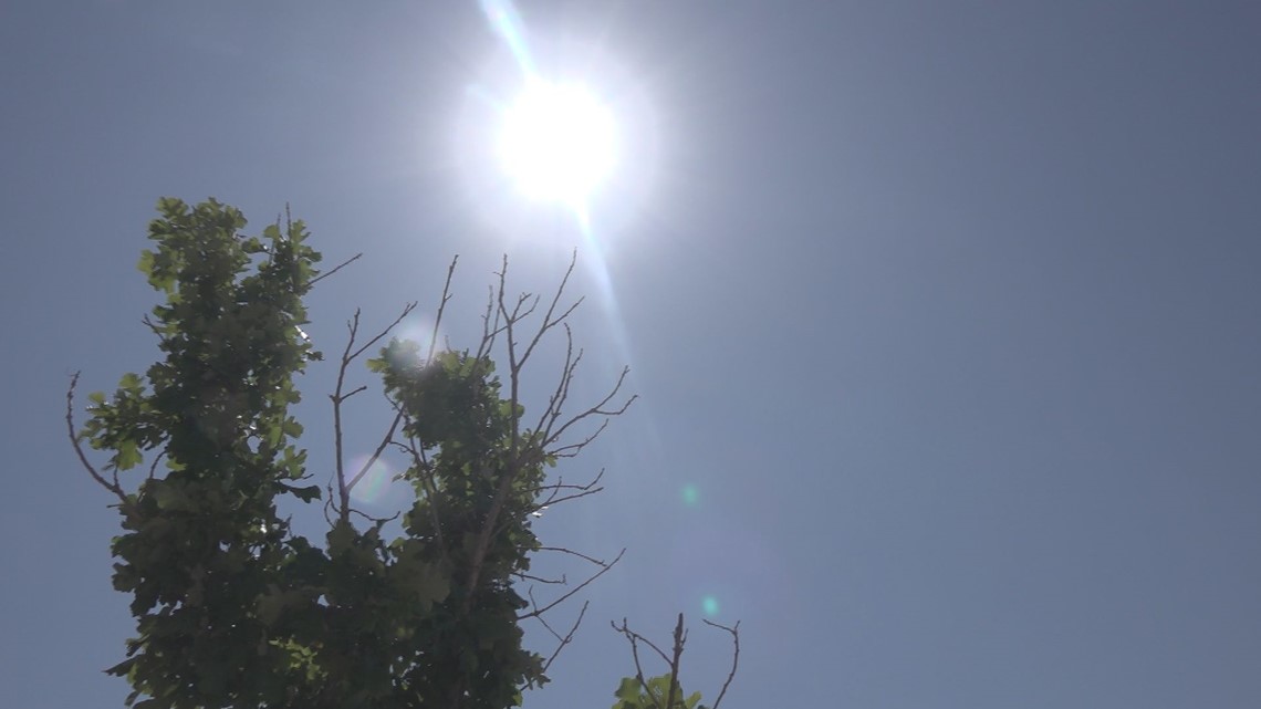 Texas News | How to protect yourself, pets, A/C, lawn in the heat - Vimarsana News
