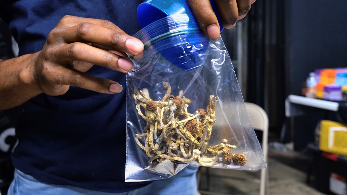 Texas House considers bill on psychedelic mushrooms to treat PTSD - Vimarsana News