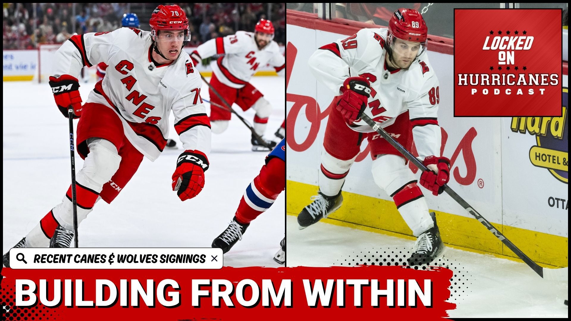 The Carolina Hurricanes & the Chicago Wolves have been busy signing players to fill out their AHL roster as the latter looks to make their second consecutive playoff