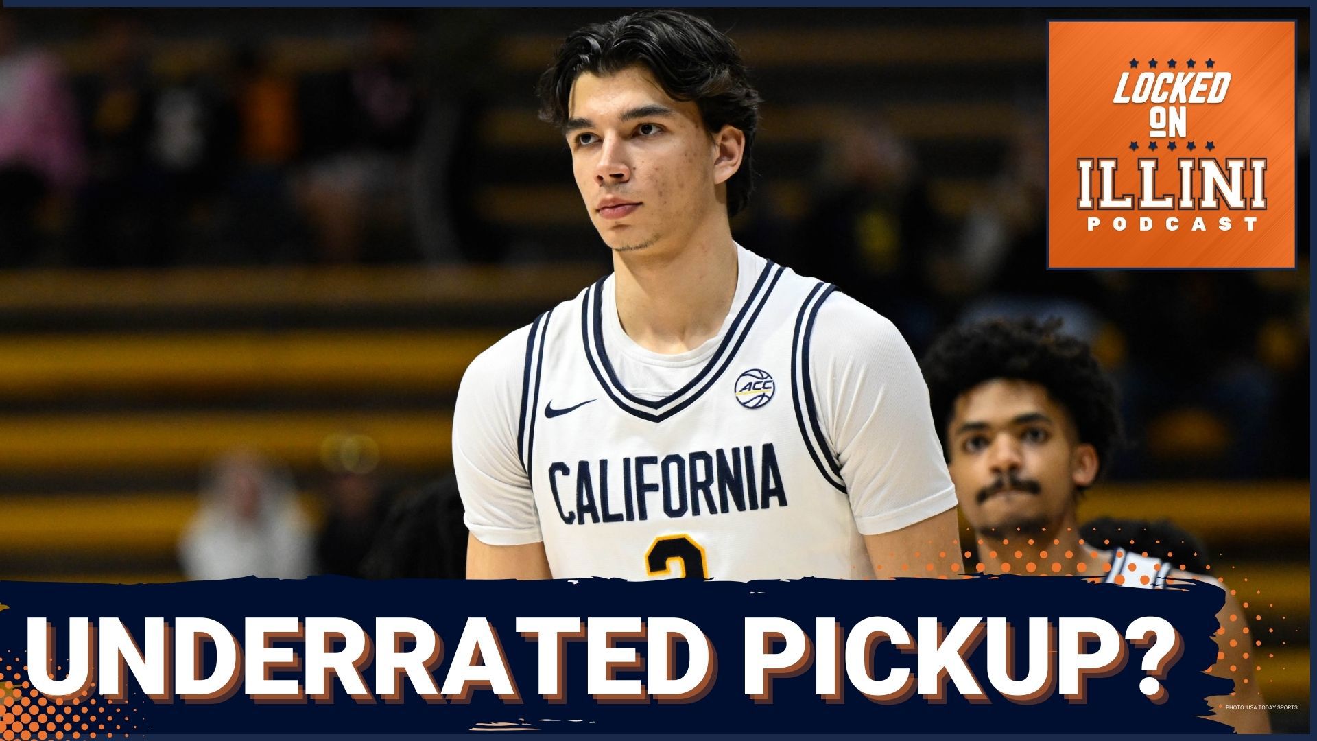 Can Andrej Stojakovic lead the Illinois to a breakthrough season in college basketball?