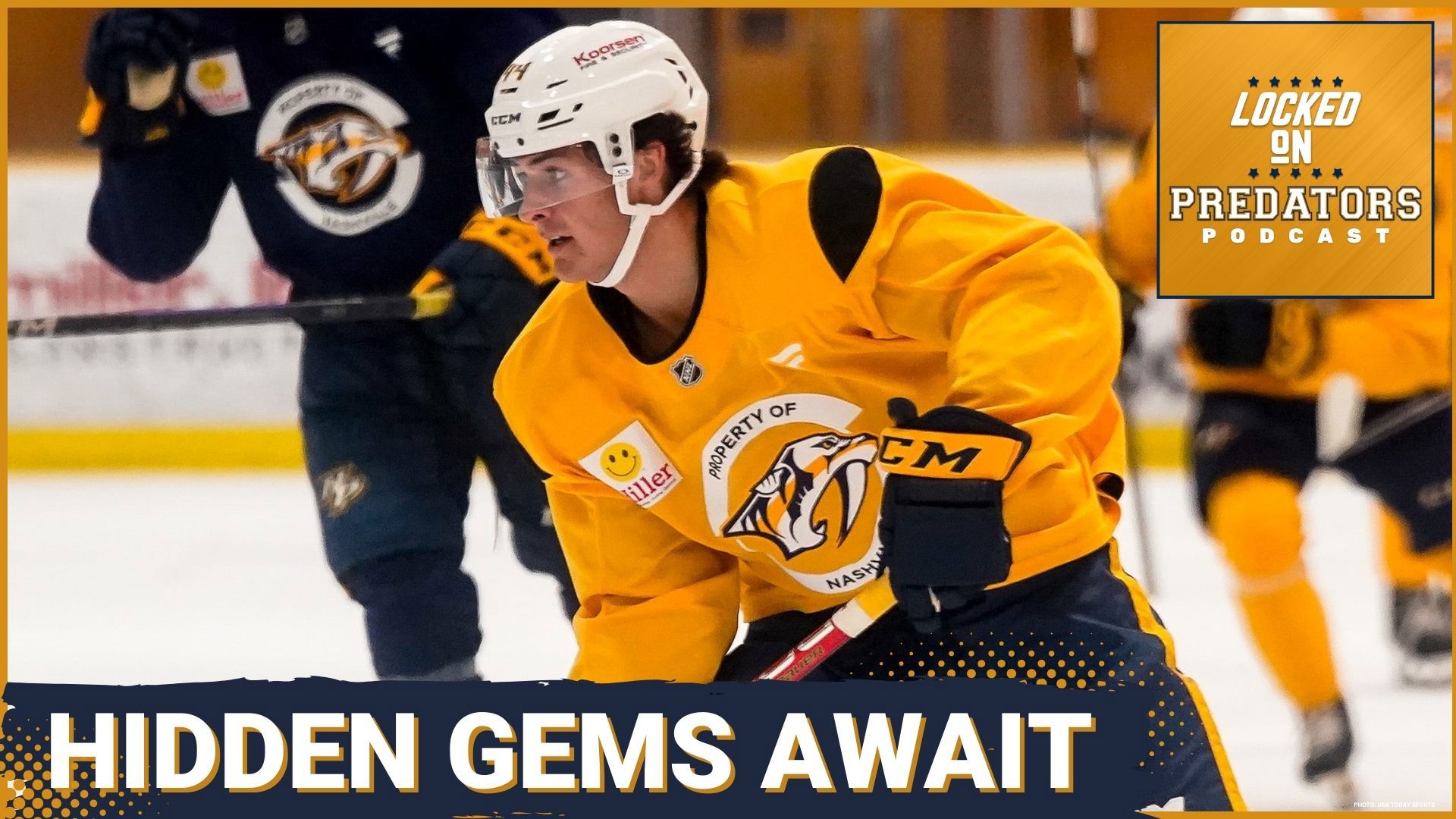 Nashville Predators' prospect pipeline ranks 10th in NHL. Can this young talent propel the team to new heights?