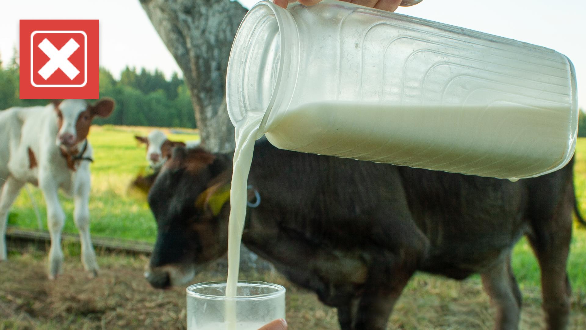 Raw milk is not healthy