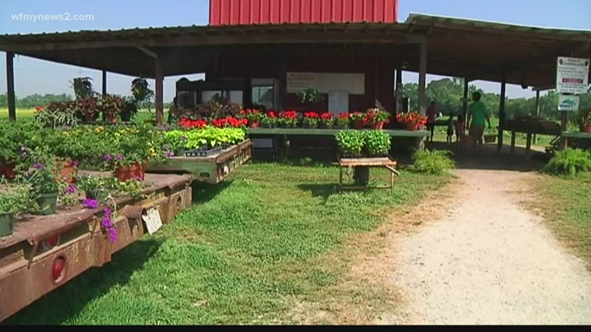 Rudd Farm’s first drive-thru of the season sees success | kcentv.com