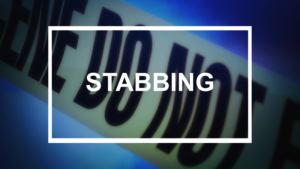Stabbing in Troy leaves New Mexico Man dead, police say - Vimarsana News
