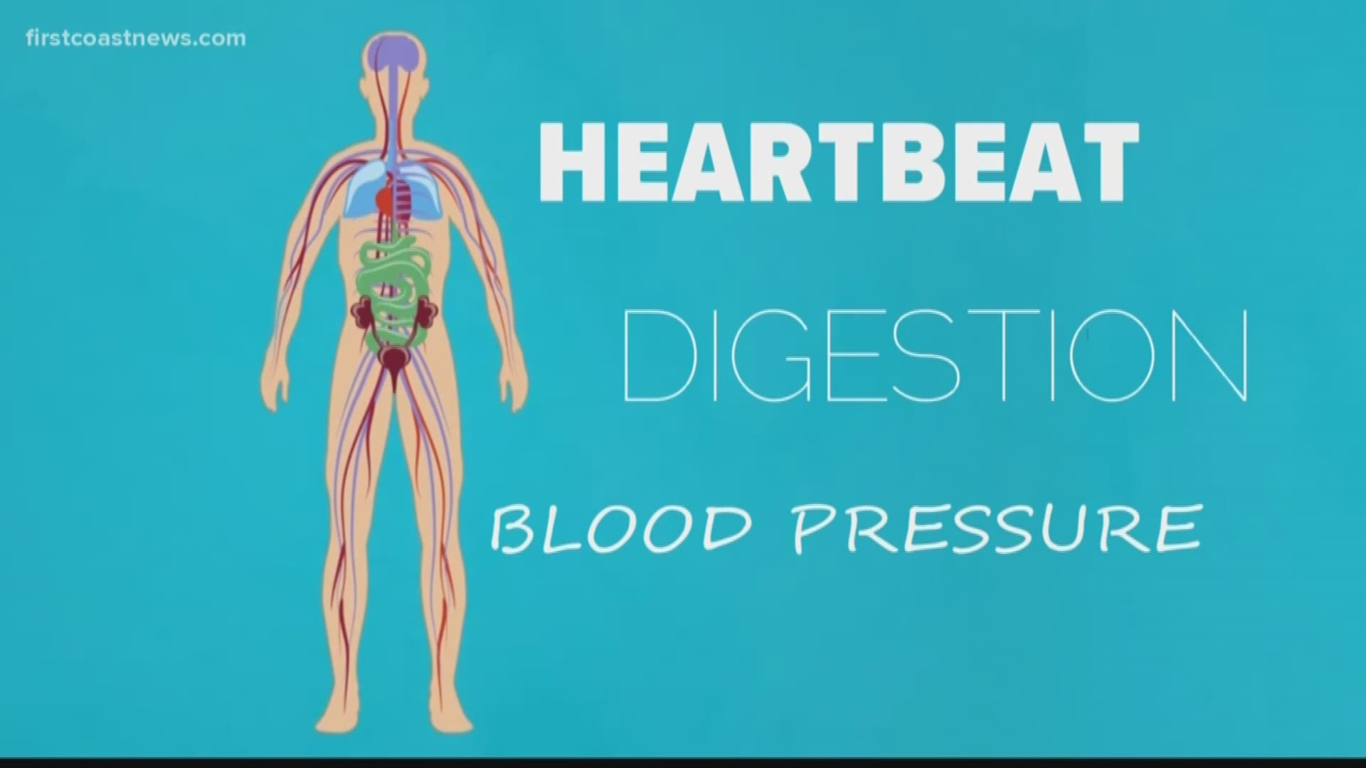 An estimated 70 million people around the world live with dysautonomia. Maybe it's dragging you down.