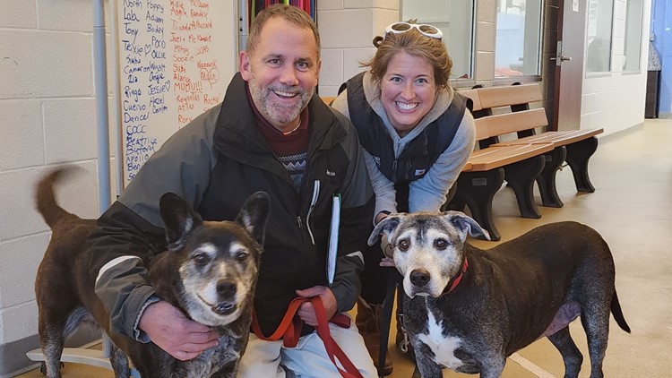 Pair of bonded senior dogs find their furever home