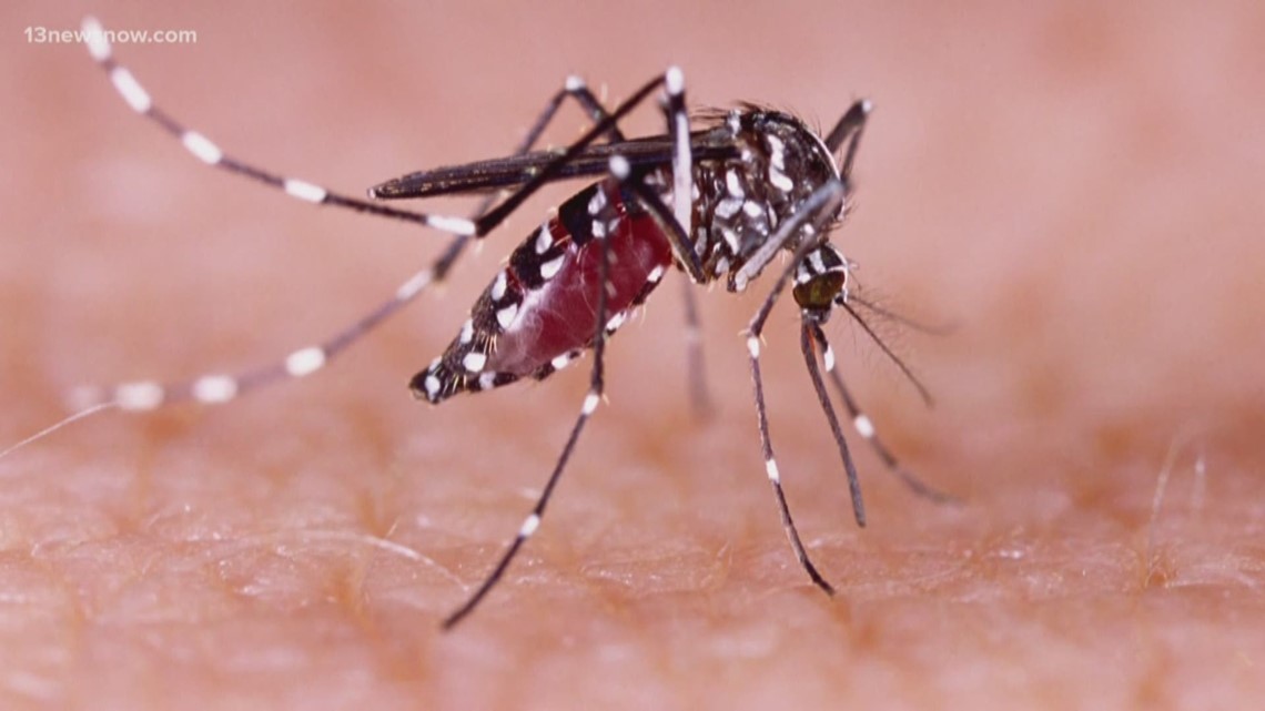 Veterinarians urge prevention as heartworm disease spreads across the U.S.